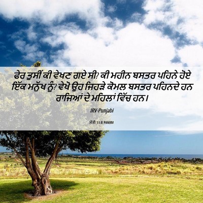 Picture 06 - ਮੱਤੀ 11:8 PANIRV - ਫੇਰ ਤੁਸੀਂ ਕੀ ਵੇਖਣ - Bible Verse Picture