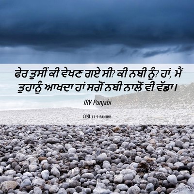 Picture 06 - ਮੱਤੀ 11:9 PANIRV - ਫੇਰ ਤੁਸੀਂ ਕੀ ਵੇਖਣ - Bible Verse Picture