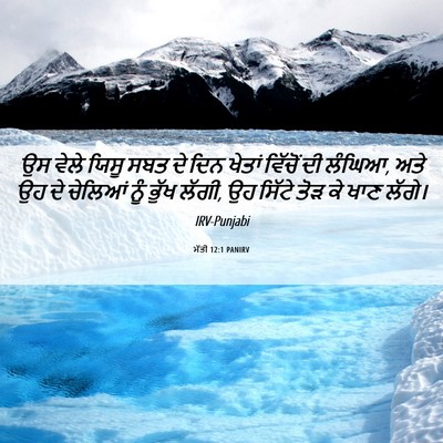 Picture 06 - ਮੱਤੀ 12:1 PANIRV - ਉਸ ਵੇਲੇ ਯਿਸੂ ਸਬਤ ਦੇ - Bible Verse Picture