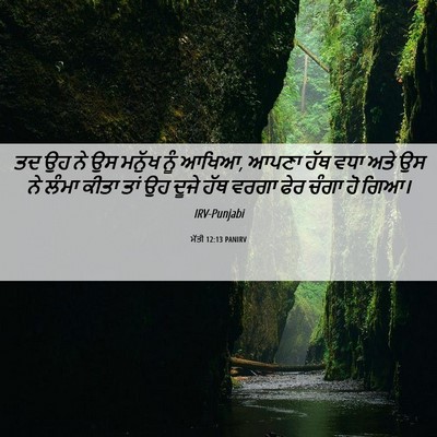Picture 06 - ਮੱਤੀ 12:13 PANIRV - ਤਦ ਉਹ ਨੇ ਉਸ ਮਨੁੱਖ - Bible Verse Picture