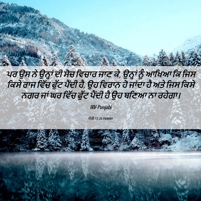 Picture 06 - ਮੱਤੀ 12:25 PANIRV - ਪਰ ਉਸ ਨੇ ਉਨ੍ਹਾਂ ਦੀ - Bible Verse Picture