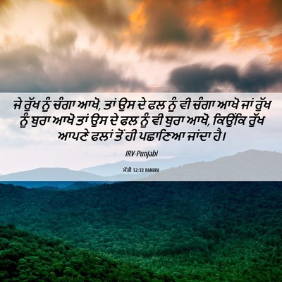Picture 06 - ਮੱਤੀ 12:33 PANIRV - ਜੇ ਰੁੱਖ ਨੂੰ ਚੰਗਾ - Bible Verse Picture