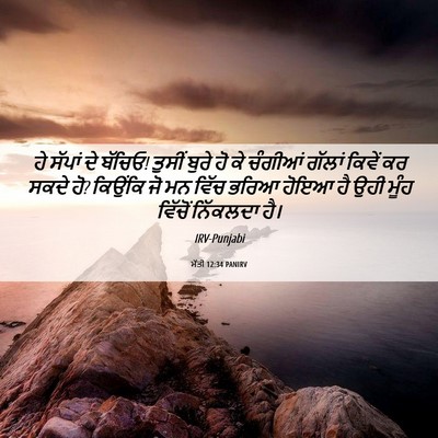 Picture 06 - ਮੱਤੀ 12:34 PANIRV - ਹੇ ਸੱਪਾਂ ਦੇ ਬੱਚਿਓ! - Bible Verse Picture
