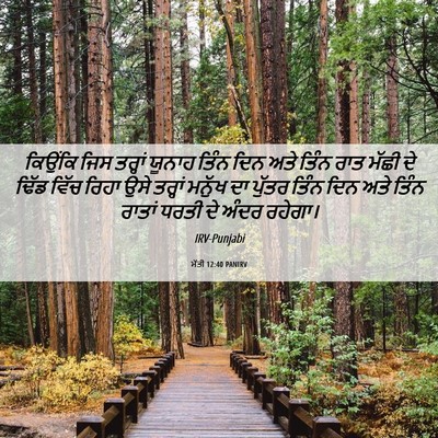 Picture 06 - ਮੱਤੀ 12:40 PANIRV - ਕਿਉਂਕਿ ਜਿਸ ਤਰ੍ਹਾਂ - Bible Verse Picture