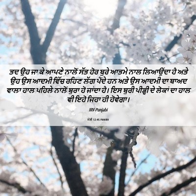 Picture 06 - ਮੱਤੀ 12:45 PANIRV - ਤਦ ਉਹ ਜਾ ਕੇ ਆਪਣੇ - Bible Verse Picture