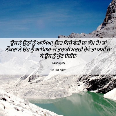 Picture 06 - ਮੱਤੀ 13:28 PANIRV - ਉਸ ਨੇ ਉਨ੍ਹਾਂ ਨੂੰ - Bible Verse Picture