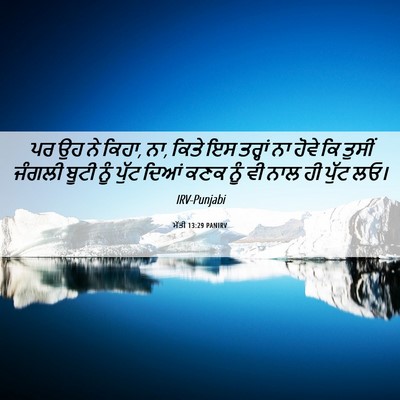Picture 06 - ਮੱਤੀ 13:29 PANIRV - ਪਰ ਉਹ ਨੇ ਕਿਹਾ, ਨਾ, - Bible Verse Picture