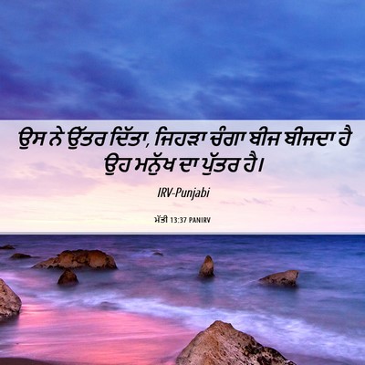 Picture 06 - ਮੱਤੀ 13:37 PANIRV - ਉਸ ਨੇ ਉੱਤਰ ਦਿੱਤਾ, - Bible Verse Picture