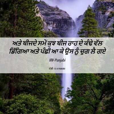 Picture 06 - ਮੱਤੀ 13:4 PANIRV - ਅਤੇ ਬੀਜਦੇ ਸਮੇਂ ਕੁਝ - Bible Verse Picture