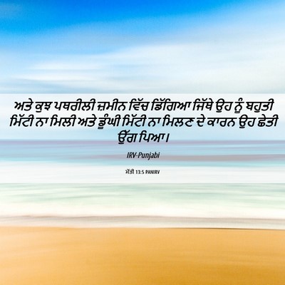 Picture 06 - ਮੱਤੀ 13:5 PANIRV - ਅਤੇ ਕੁਝ ਪਥਰੀਲੀ - Bible Verse Picture