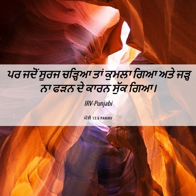 Picture 06 - ਮੱਤੀ 13:6 PANIRV - ਪਰ ਜਦੋਂ ਸੂਰਜ - Bible Verse Picture