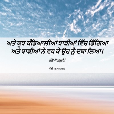 Picture 06 - ਮੱਤੀ 13:7 PANIRV - ਅਤੇ ਕੁਝ ਕੰਡਿਆਲੀਆਂ - Bible Verse Picture