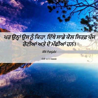 Picture 06 - ਮੱਤੀ 14:17 PANIRV - ਪਰ ਉਨ੍ਹਾਂ ਉਸ ਨੂੰ - Bible Verse Picture