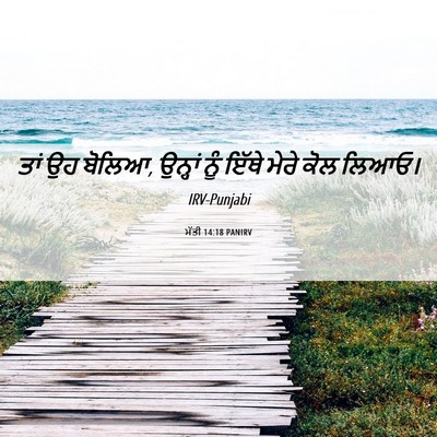 Picture 06 - ਮੱਤੀ 14:18 PANIRV - ਤਾਂ ਉਹ ਬੋਲਿਆ, - Bible Verse Picture