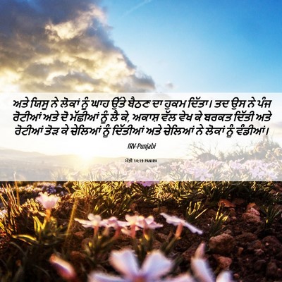 Picture 06 - ਮੱਤੀ 14:19 PANIRV - ਅਤੇ ਯਿਸੂ ਨੇ ਲੋਕਾਂ - Bible Verse Picture