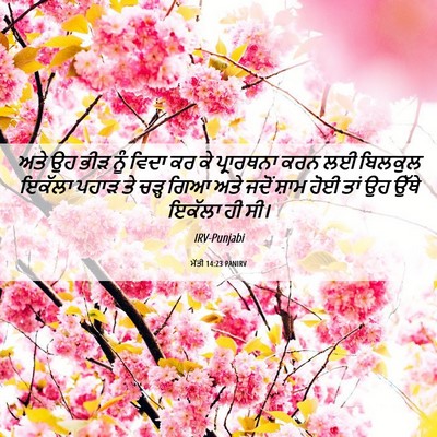 Picture 06 - ਮੱਤੀ 14:23 PANIRV - ਅਤੇ ਉਹ ਭੀੜ ਨੂੰ ਵਿਦਾ - Bible Verse Picture