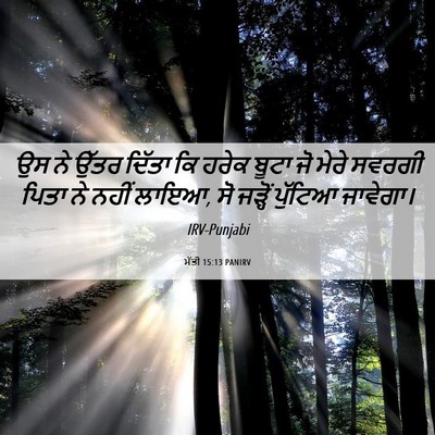 Picture 06 - ਮੱਤੀ 15:13 PANIRV - ਉਸ ਨੇ ਉੱਤਰ ਦਿੱਤਾ ਕਿ - Bible Verse Picture