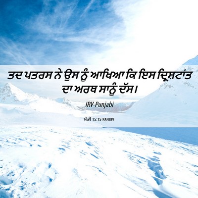 Picture 06 - ਮੱਤੀ 15:15 PANIRV - ਤਦ ਪਤਰਸ ਨੇ ਉਸ ਨੂੰ - Bible Verse Picture