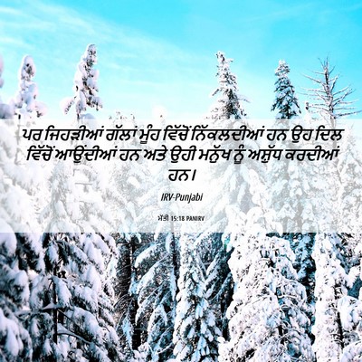 Picture 06 - ਮੱਤੀ 15:18 PANIRV - ਪਰ ਜਿਹੜੀਆਂ ਗੱਲਾਂ - Bible Verse Picture