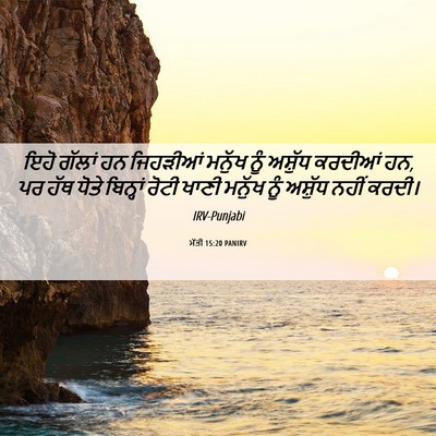Picture 06 - ਮੱਤੀ 15:20 PANIRV - ਇਹੋ ਗੱਲਾਂ ਹਨ - Bible Verse Picture