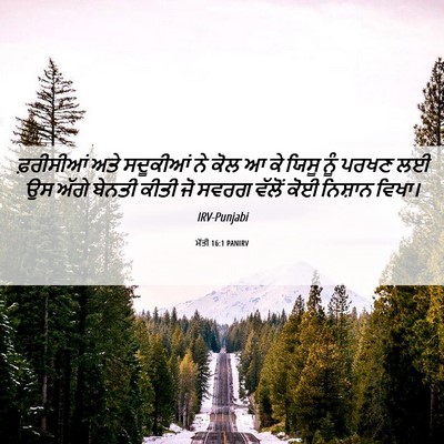 Picture 06 - ਮੱਤੀ 16:1 PANIRV - ਫ਼ਰੀਸੀਆਂ ਅਤੇ - Bible Verse Picture