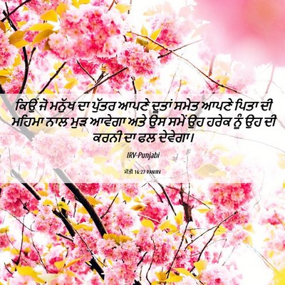 Picture 06 - ਮੱਤੀ 16:27 PANIRV - ਕਿਉਂ ਜੋ ਮਨੁੱਖ ਦਾ - Bible Verse Picture