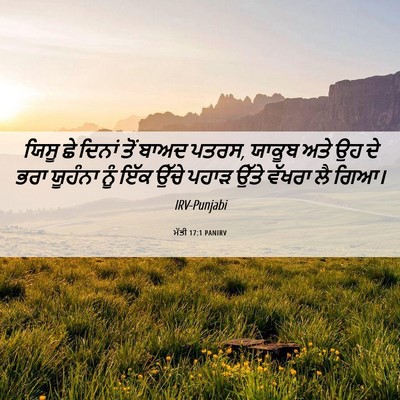 Picture 06 - ਮੱਤੀ 17:1 PANIRV - ਯਿਸੂ ਛੇ ਦਿਨਾਂ ਤੋਂ - Bible Verse Picture