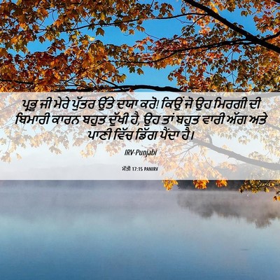 Picture 06 - ਮੱਤੀ 17:15 PANIRV - ਪ੍ਰਭੂ ਜੀ ਮੇਰੇ - Bible Verse Picture