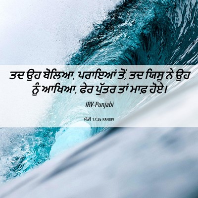 Picture 06 - ਮੱਤੀ 17:26 PANIRV - ਤਦ ਉਹ ਬੋਲਿਆ, ਪਰਾਇਆਂ - Bible Verse Picture