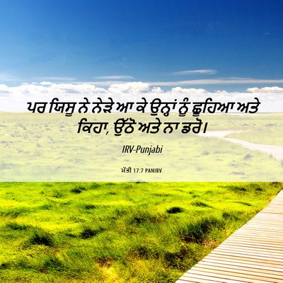 Picture 06 - ਮੱਤੀ 17:7 PANIRV - ਪਰ ਯਿਸੂ ਨੇ ਨੇੜੇ ਆ - Bible Verse Picture