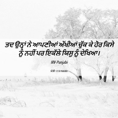 Picture 06 - ਮੱਤੀ 17:8 PANIRV - ਤਦ ਉਨ੍ਹਾਂ ਨੇ - Bible Verse Picture