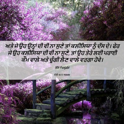Picture 06 - ਮੱਤੀ 18:17 PANIRV - ਅਤੇ ਜੇ ਉਹ ਉਨ੍ਹਾਂ ਦੀ - Bible Verse Picture