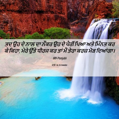 Picture 06 - ਮੱਤੀ 18:29 PANIRV - ਤਦ ਉਹ ਦੇ ਨਾਲ ਦਾ - Bible Verse Picture