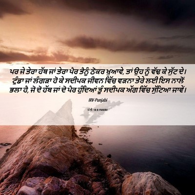 Picture 06 - ਮੱਤੀ 18:8 PANIRV - ਪਰ ਜੇ ਤੇਰਾ ਹੱਥ ਜਾਂ - Bible Verse Picture