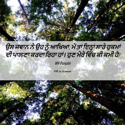 Picture 06 - ਮੱਤੀ 19:20 PANIRV - ਉਸ ਜਵਾਨ ਨੇ ਉਹ ਨੂੰ - Bible Verse Picture