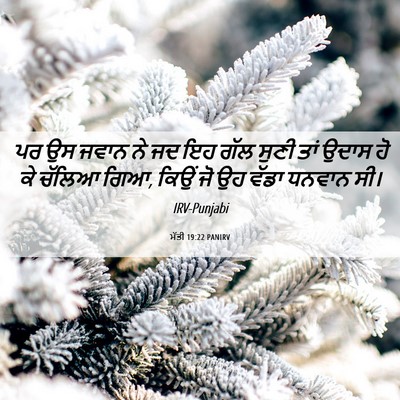 Picture 06 - ਮੱਤੀ 19:22 PANIRV - ਪਰ ਉਸ ਜਵਾਨ ਨੇ ਜਦ ਇਹ - Bible Verse Picture