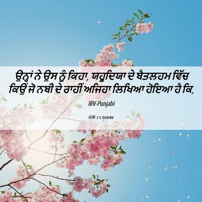 Picture 06 - ਮੱਤੀ 2:5 PANIRV - ਉਨ੍ਹਾਂ ਨੇ ਉਸ ਨੂੰ - Bible Verse Picture