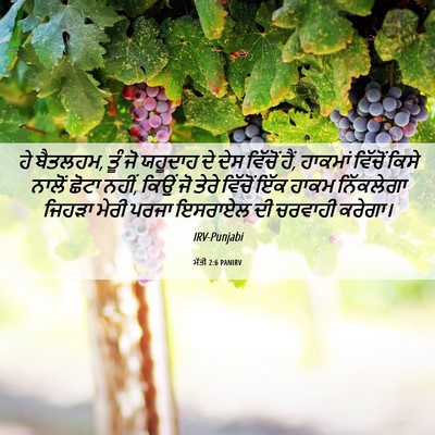 Picture 06 - ਮੱਤੀ 2:6 PANIRV - ਹੇ ਬੈਤਲਹਮ, ਤੂੰ ਜੋ - Bible Verse Picture