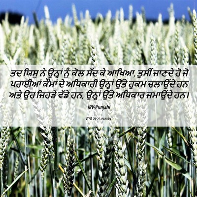 Picture 06 - ਮੱਤੀ 20:25 PANIRV - ਤਦ ਯਿਸੂ ਨੇ ਉਨ੍ਹਾਂ - Bible Verse Picture