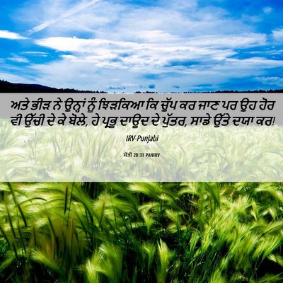 Picture 06 - ਮੱਤੀ 20:31 PANIRV - ਅਤੇ ਭੀੜ ਨੇ ਉਨ੍ਹਾਂ - Bible Verse Picture