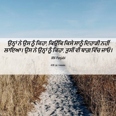 Picture 06 - ਮੱਤੀ 20:7 PANIRV - ਉਨ੍ਹਾਂ ਨੇ ਉਸ ਨੂੰ - Bible Verse Picture