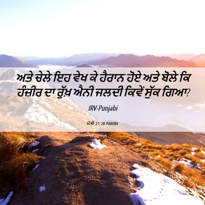 Picture 06 - ਮੱਤੀ 21:20 PANIRV - ਅਤੇ ਚੇਲੇ ਇਹ ਵੇਖ ਕੇ - Bible Verse Picture