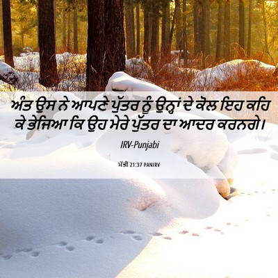 Picture 06 - ਮੱਤੀ 21:37 PANIRV - ਅੰਤ ਉਸ ਨੇ ਆਪਣੇ - Bible Verse Picture
