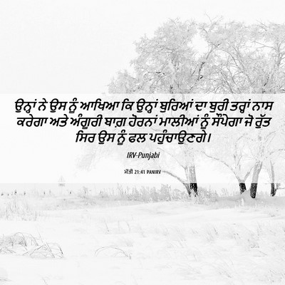 Picture 06 - ਮੱਤੀ 21:41 PANIRV - ਉਨ੍ਹਾਂ ਨੇ ਉਸ ਨੂੰ - Bible Verse Picture