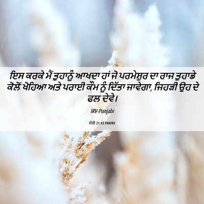 Picture 06 - ਮੱਤੀ 21:43 PANIRV - ਇਸ ਕਰਕੇ ਮੈਂ - Bible Verse Picture