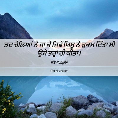 Picture 06 - ਮੱਤੀ 21:6 PANIRV - ਤਦ ਚੇਲਿਆਂ ਨੇ ਜਾ ਕੇ - Bible Verse Picture