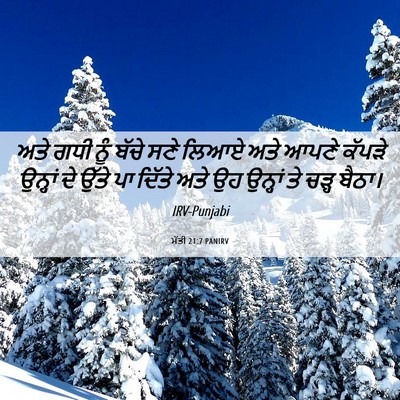 Picture 06 - ਮੱਤੀ 21:7 PANIRV - ਅਤੇ ਗਧੀ ਨੂੰ ਬੱਚੇ - Bible Verse Picture