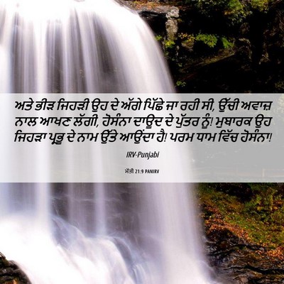 Picture 06 - ਮੱਤੀ 21:9 PANIRV - ਅਤੇ ਭੀੜ ਜਿਹੜੀ ਉਹ ਦੇ - Bible Verse Picture