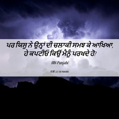 Picture 06 - ਮੱਤੀ 22:18 PANIRV - ਪਰ ਯਿਸੂ ਨੇ ਉਨ੍ਹਾਂ - Bible Verse Picture