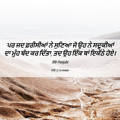 Picture 06 - ਮੱਤੀ 22:34 PANIRV - ਪਰ ਜਦ ਫ਼ਰੀਸੀਆਂ ਨੇ - Bible Verse Picture